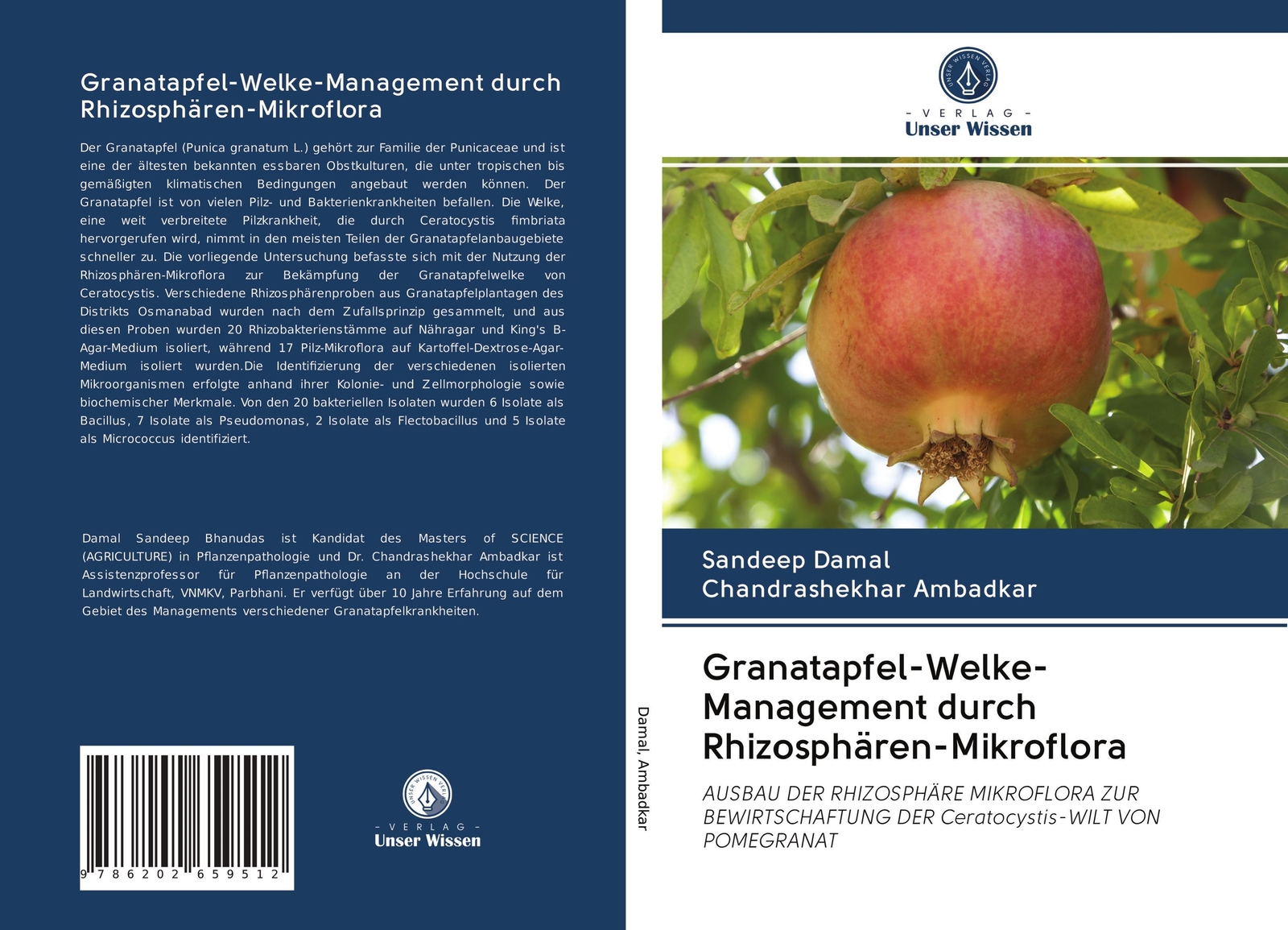 Granatapfel-welke-management Durch Rhizosphären-mikroflora Sandeep