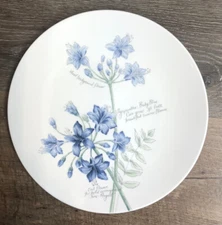 Lenox, Artist Sketchbook, Agapanthus Iris, Dinner Plate ~new~