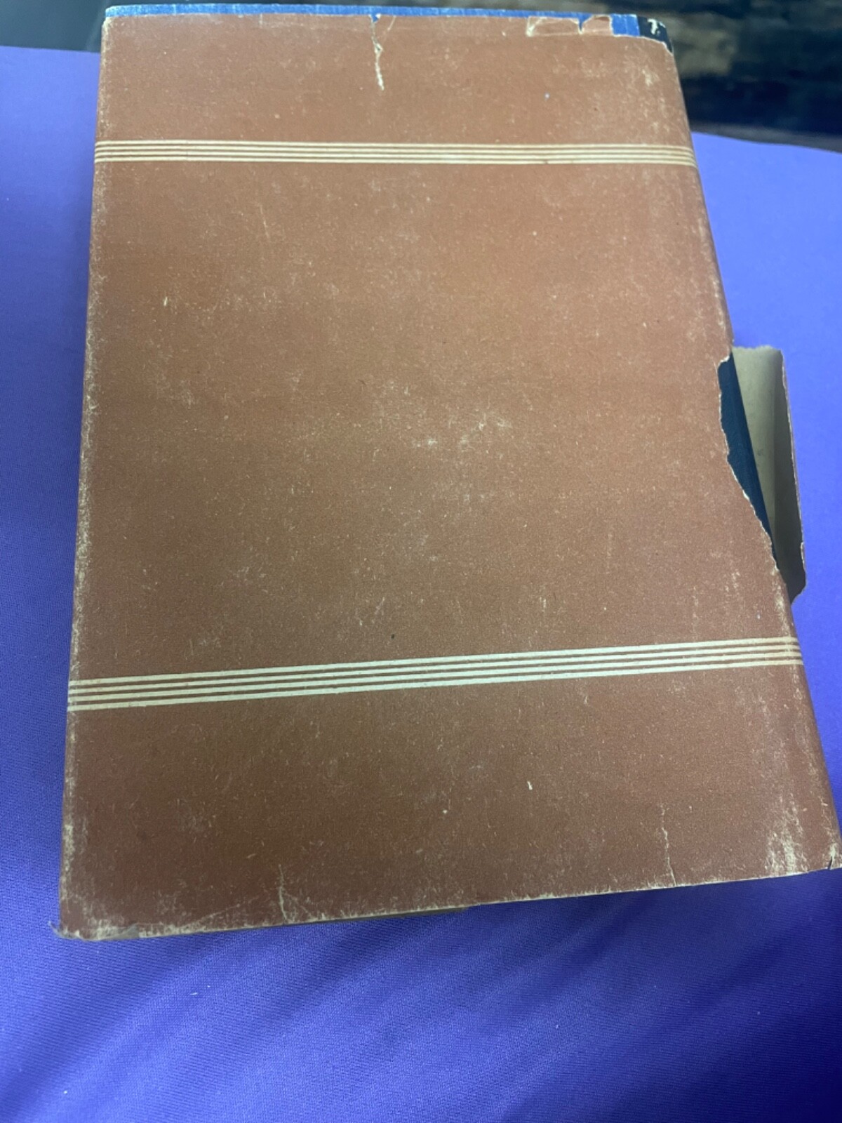 Einzig das Lied überm Land heiligt und feiert : Sammlung deutscher Gedichte seit