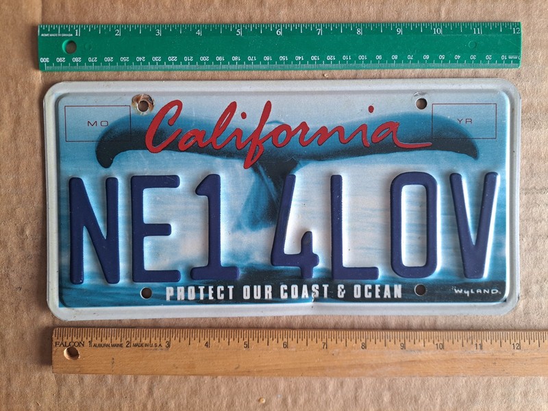 License Plate, California, Whale's Tail, Love Vanity: NE1 4LOV, Anyone for Love!