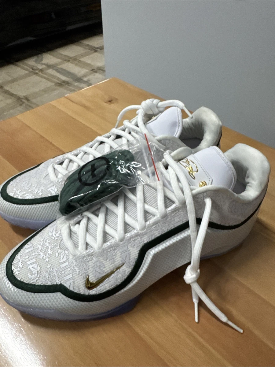Nike Lebron 23 From This Point Forward for Sale | Authenticity