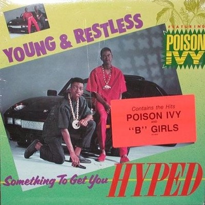 Young & Restless - Something To Get You Hyped (LP, Album)
