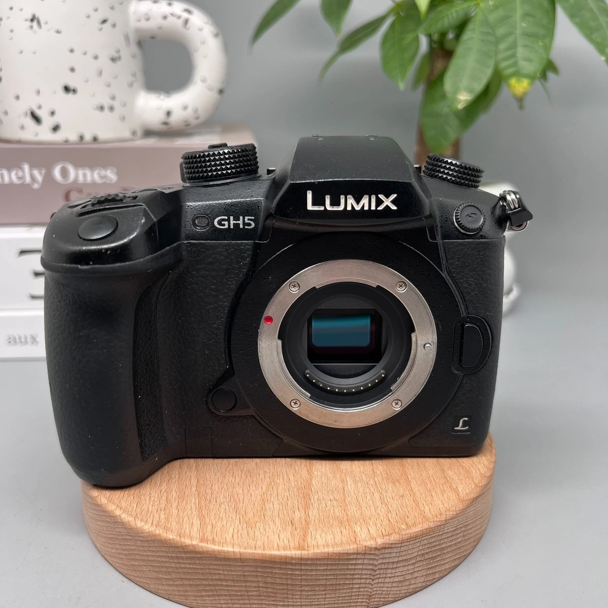 Panasonic Lumix DC-GH5 Digital Cameras with Bluetooth for Sale