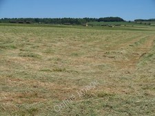 Photo 6x4 Grass becoming hay Kingham The grass has been cut and is drying c2010