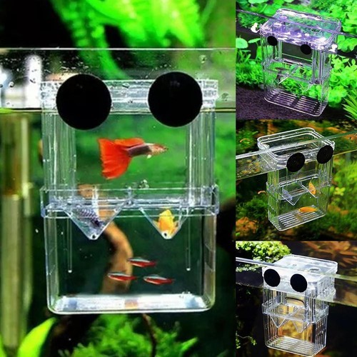 Aquarium Fish Tank Breeding Breeder Rearing Box Hatchery US Isolation G1G4