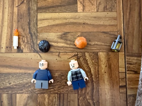 Lego Harry Potter #75950 Aragog's Lair komplett mit Anleitung & Minifiguren ohne Karton - Bild 5 von 5