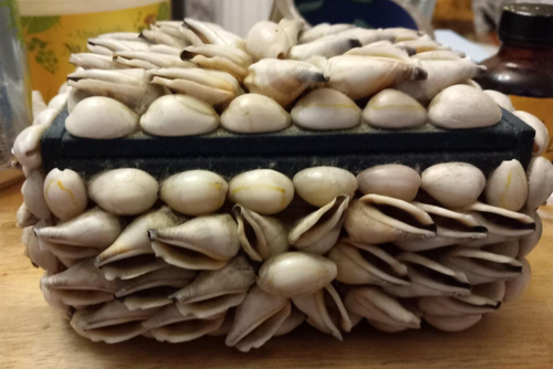 vintage shell jewellery box