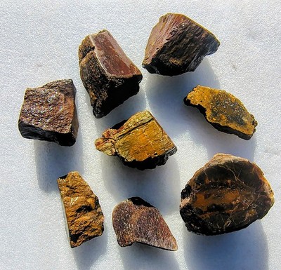 Utah Dino Bone Specimen Lot -  1 Lb. 10 Oz. - 8 Pcs. Polished On One Side