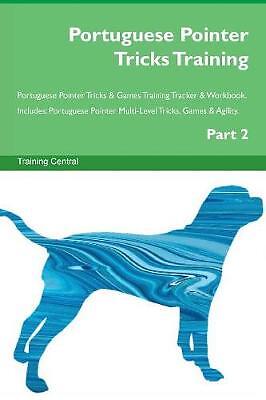 Portuguese Pointer Tricks Training Portuguese Poin
