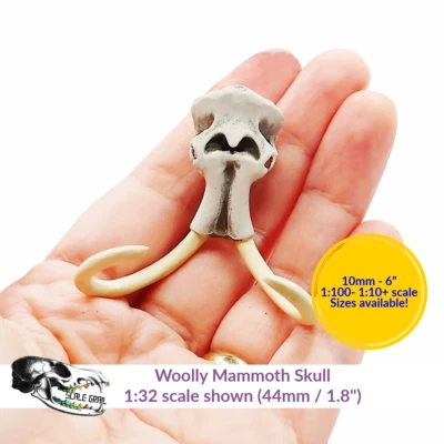 Woolly Mammoth Skull (Field Bones Core Series: Extinct) mini by The Scale Grail