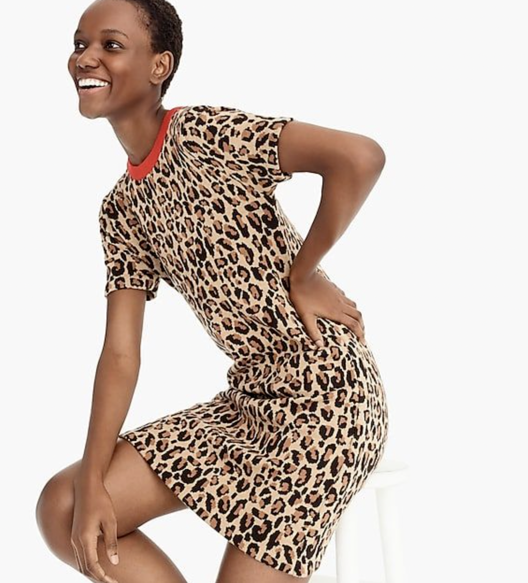 animal print knit dress NEW NWT J Crew Demylee Leopard Sweater XXS Wool Short Sleeve Ali Wong Modern art print