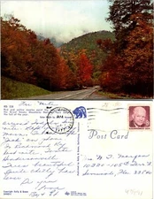 Great Smoky Mountains Red and Yellow Maple Postcard Used (43991)