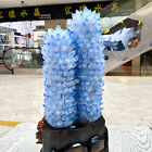 Foto 16 di 20