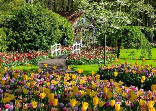 NEW SEALED Ravensburger 00851 Keukenhof Gardens Netherlands 1000Pc Jigsaw Puzzle - 第 2/12 張圖片
