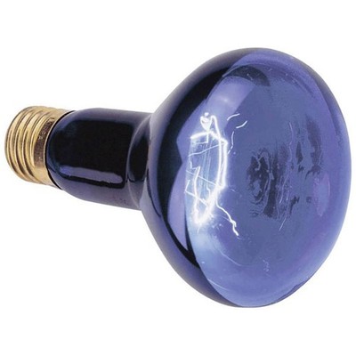 Omnilux 89511025 C35 UV Bulb E14 40W Essential Design
