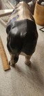 Bild 6 von 8