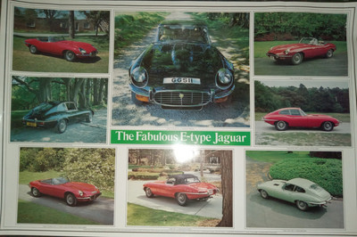 Vintage 1961-71 JAGUAR Automobiles Wall Poster E TYPE Car Models 38'' x 28'' 1980