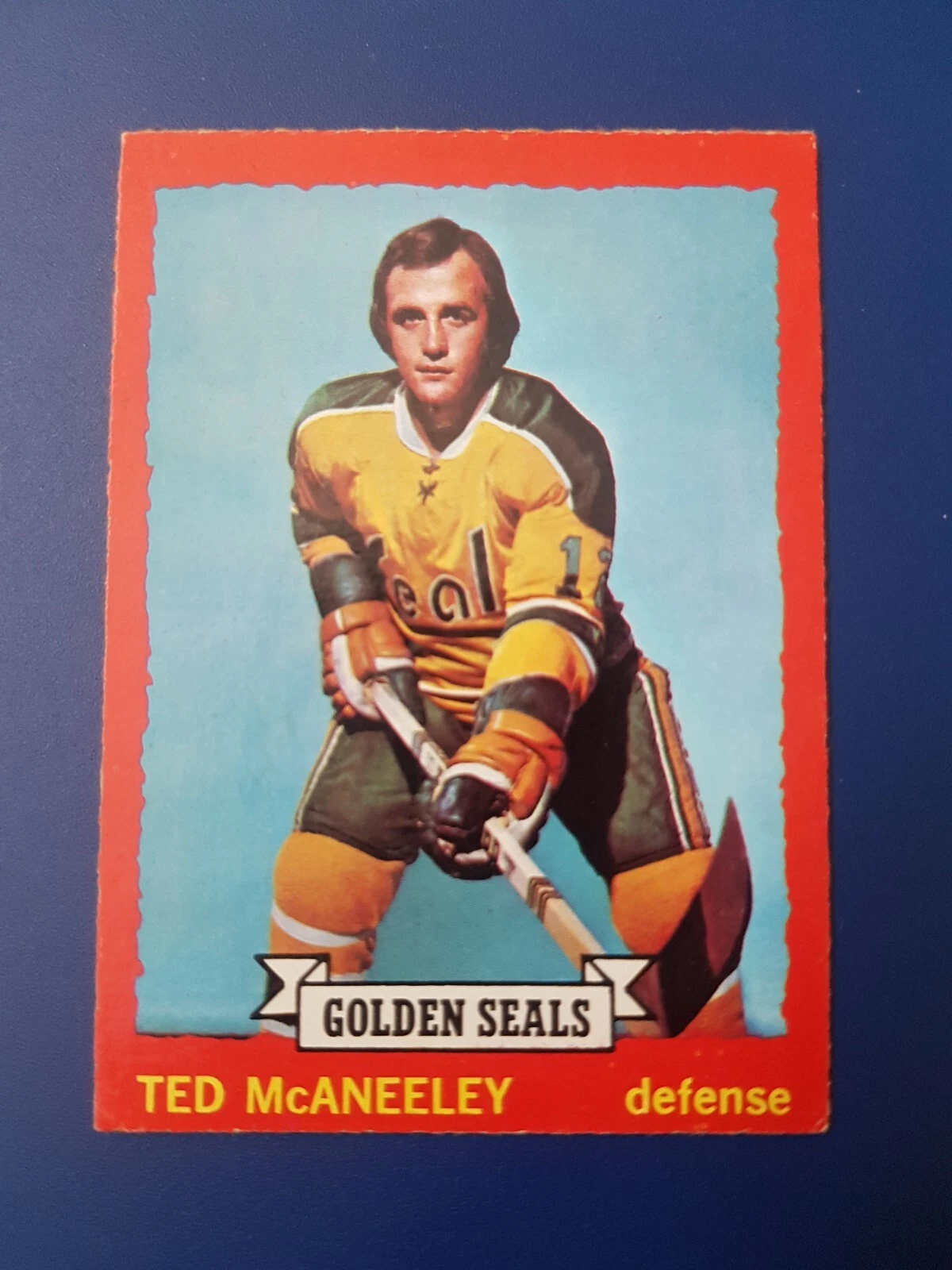 Ted McAneeley 1973-74 O-PEE-CHEE OPC Hockey #37 (EXMT+) California Golden Seals