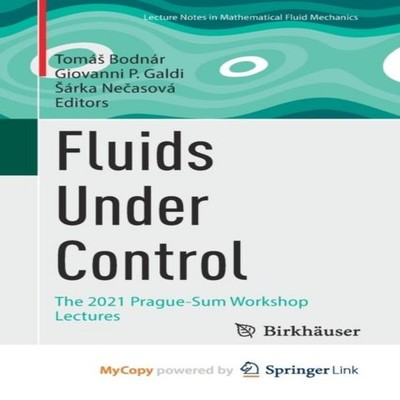 Fluids Under Control The 2021 Prague-Sum Workshop Lectures Spring