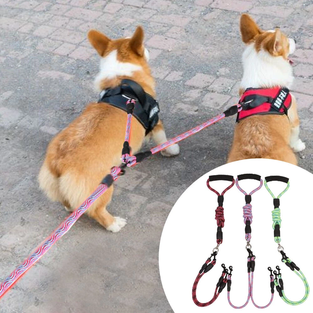Dog online walking rope