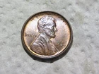 Nice Brilliant Uncirculated Toned  1909VDB Lincoln Penny Spots on Reverse L1
