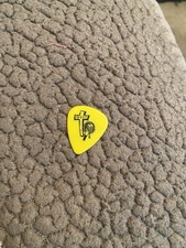 Ozzy Joe Holmes Tour Guitar Pick!