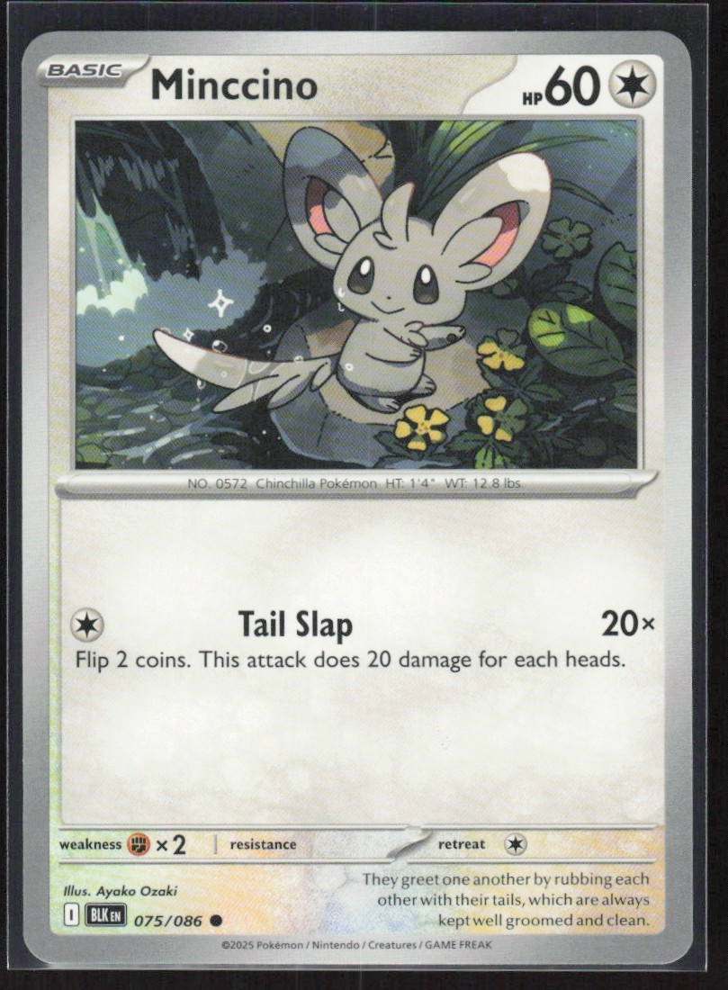 2025 Scarlet & Violet Series - Black Bolt Minccino Common #75