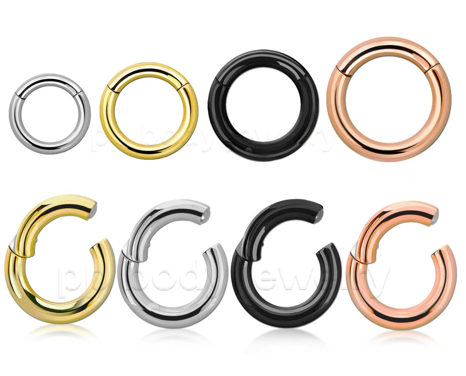 PAIR Large Gauge Hinged Clicker Segment Ring PVD Surgical Steel Earrings Septum - Image 4 of 4