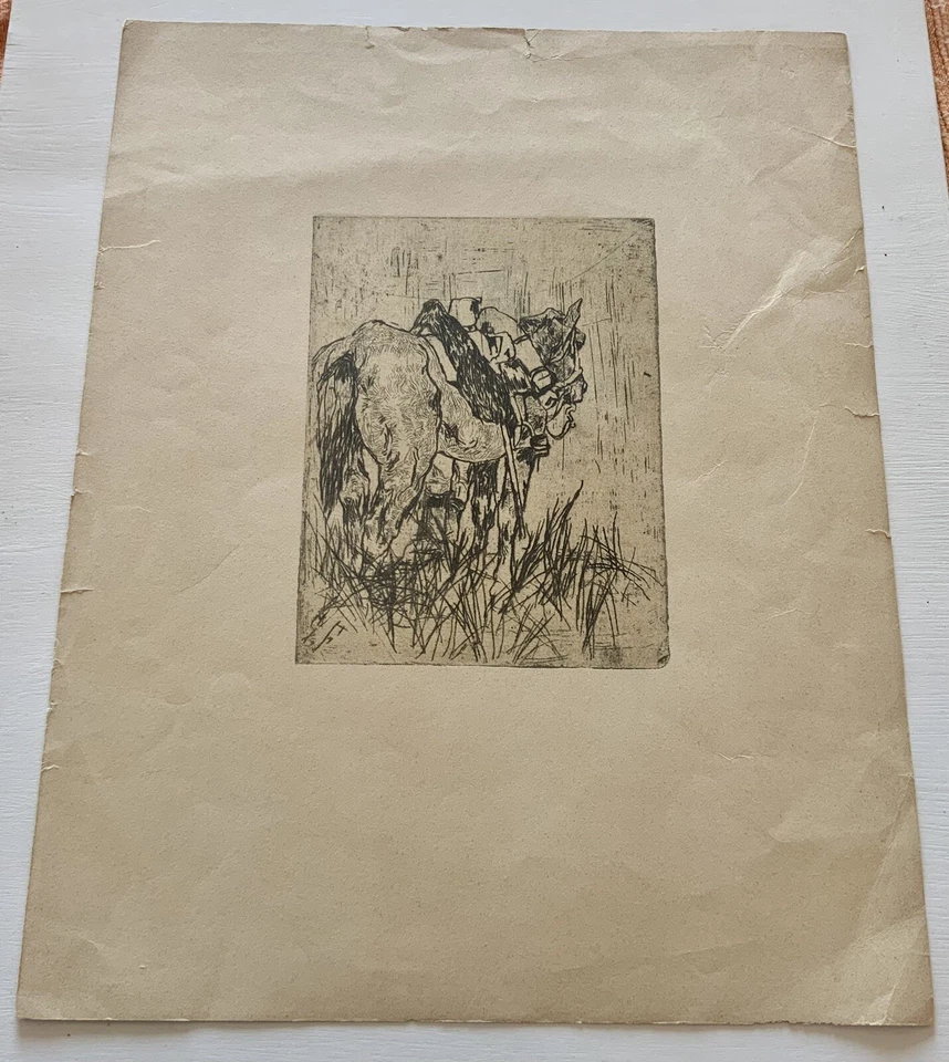 Stampa Antica Incisione  Giovanni Fattori “ Cavallo” - Immagine 3 di 4
