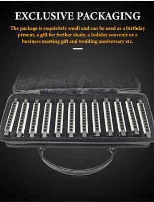 EASTTOP Diatonic Harmonica Set of 12 10Holes Blues Harmonica Lot Mouth Organ set