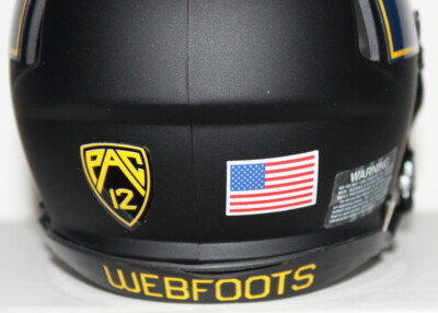 2016 Oregon Ducks Webfoots Alternate Custom Riddell Mini Helmet vs  Washington | eBay