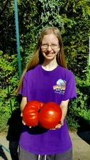 Giant Tomato Seeds X20! Big Zac! Award Winning!Can Produce Fruit Well Over 5lbs!