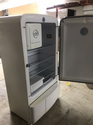 vintage looking refrigerator for sale