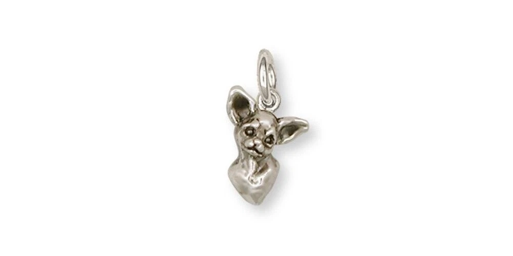 Chihuahua pandora deals charm