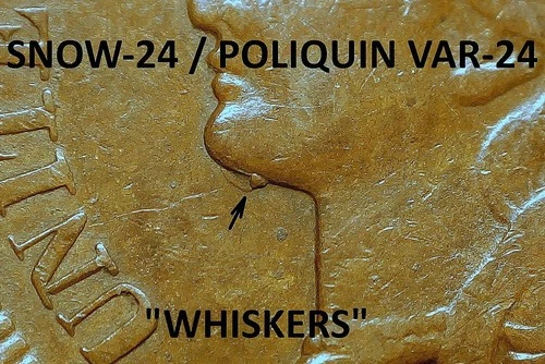 1901 Indian Head Cent - VERY FINE++ SNOW-24 / POLIQUIN VAR-24 "WHISKERS"  (M664)