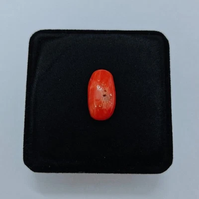 Cabochon ovale vintage corail rouge naturel poli Italie mer corail pierre... - Photo 1/4