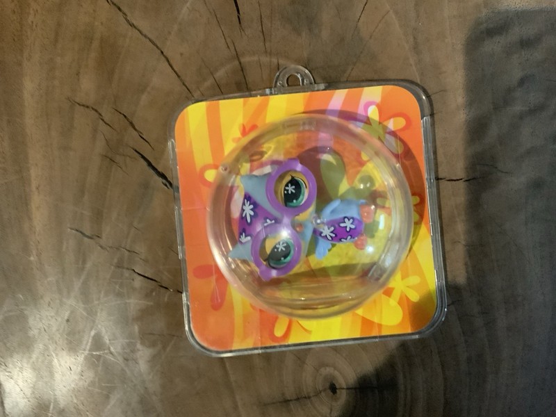 Vintage Littlest Pet Shop Grooviest Owl In Display
