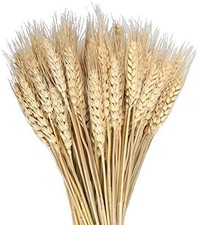Dried Wheat Bouquet Bunch Flowers Home Wedding Decor