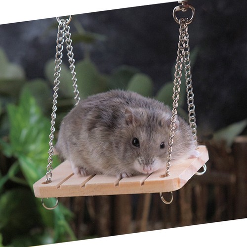 10 Pcs Chew Toys Wooden Dumbells Hamster Swing Pet Exercise Toys - Picture 9 of 12