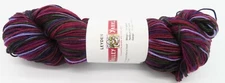 Valley Yarns Leyden Sock Yarn Hank Fingering Self Striping Merino Nylon 100grams