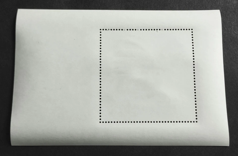 China 1993 1994 Poll Best Stamp Rooster SS (not Stamp) 中国最佳邮票评选纪念张(不是邮票) - Image 2 of 2