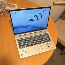 HP ProBook 15-Inch Silver Laptop Windows USB HDMI Webcam Wi-Fi Microphone