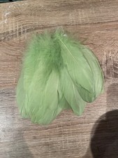 Light Green Feathers Bundle Pk Craft Millinery Supplies Trimmings Party Costume