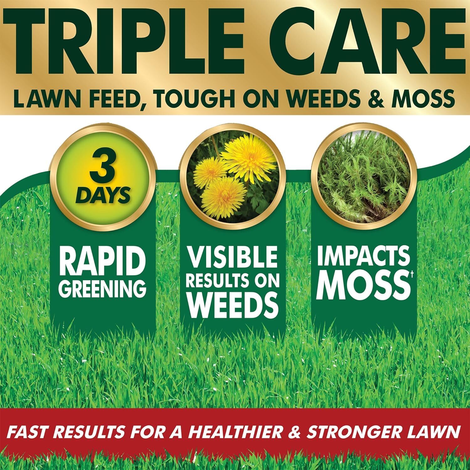 Aftercut Triple Care Lawn Feed Treatment Rapid Greening in 3 Days Moss