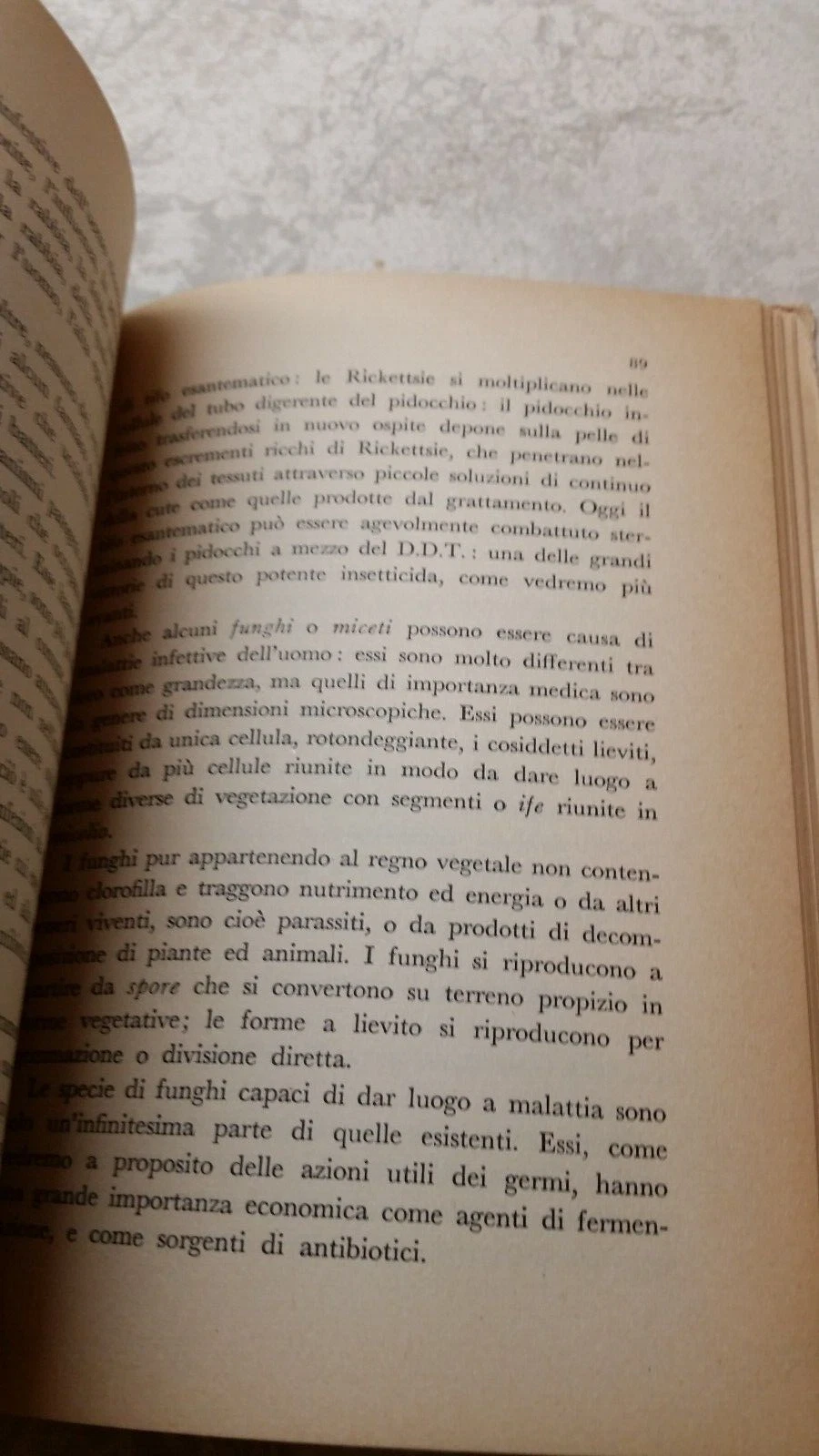 Foto 6 di 8