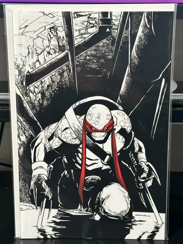 Teenage Mutant Ninja Turtles #75 Ramos Planet Awesome B&W Variant IDW 2017 9.6