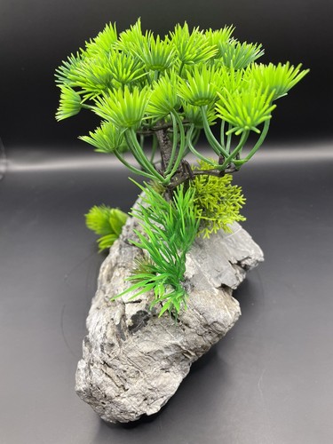 Aquarium Bonsai Tree Green Aquascape Natural Stone - Brian - Picture 6 of 7