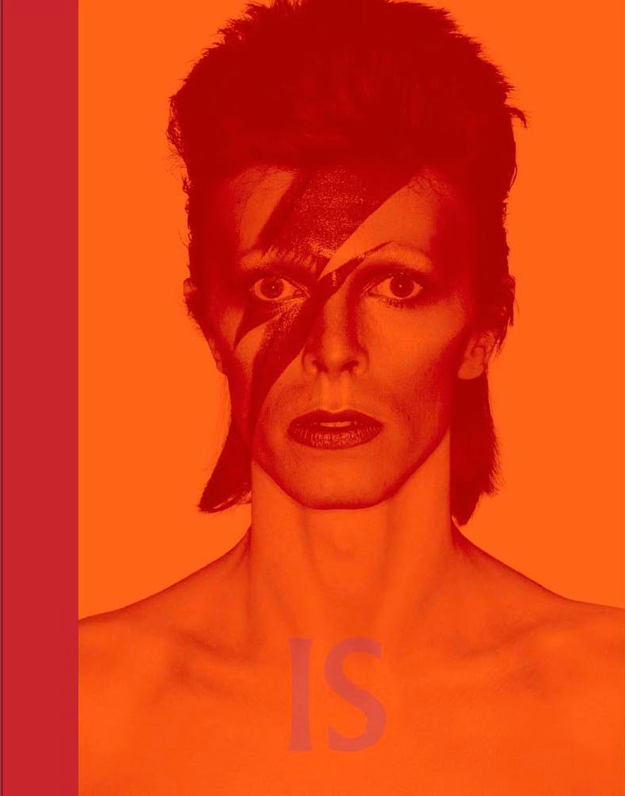 Thumbnail - David Bowie Is Victoria Broackes