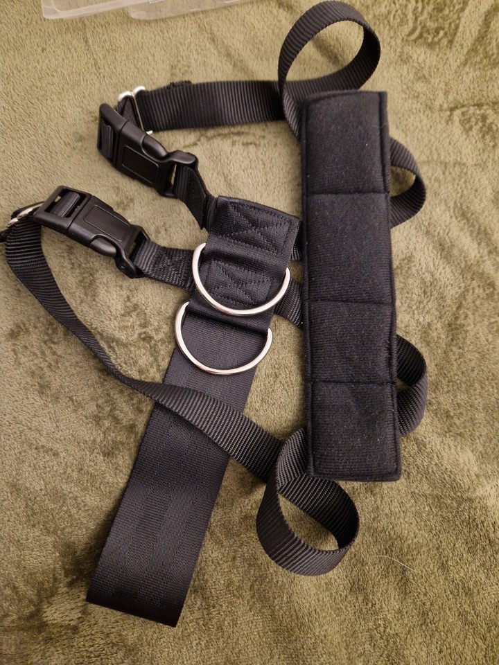 Dog car harness, RAC for Large dog, comes with instructions eBay