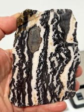 Zebra stone aka Zebra Marble Slab Cabbing Lapidary Carving Reiki Chakra Utah